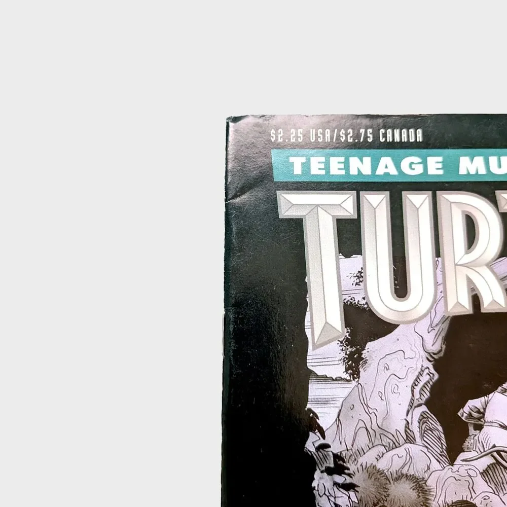 Teenage Mutant Ninja Turtles TMNT #62 Comic Book City At War August 1993 Mirage